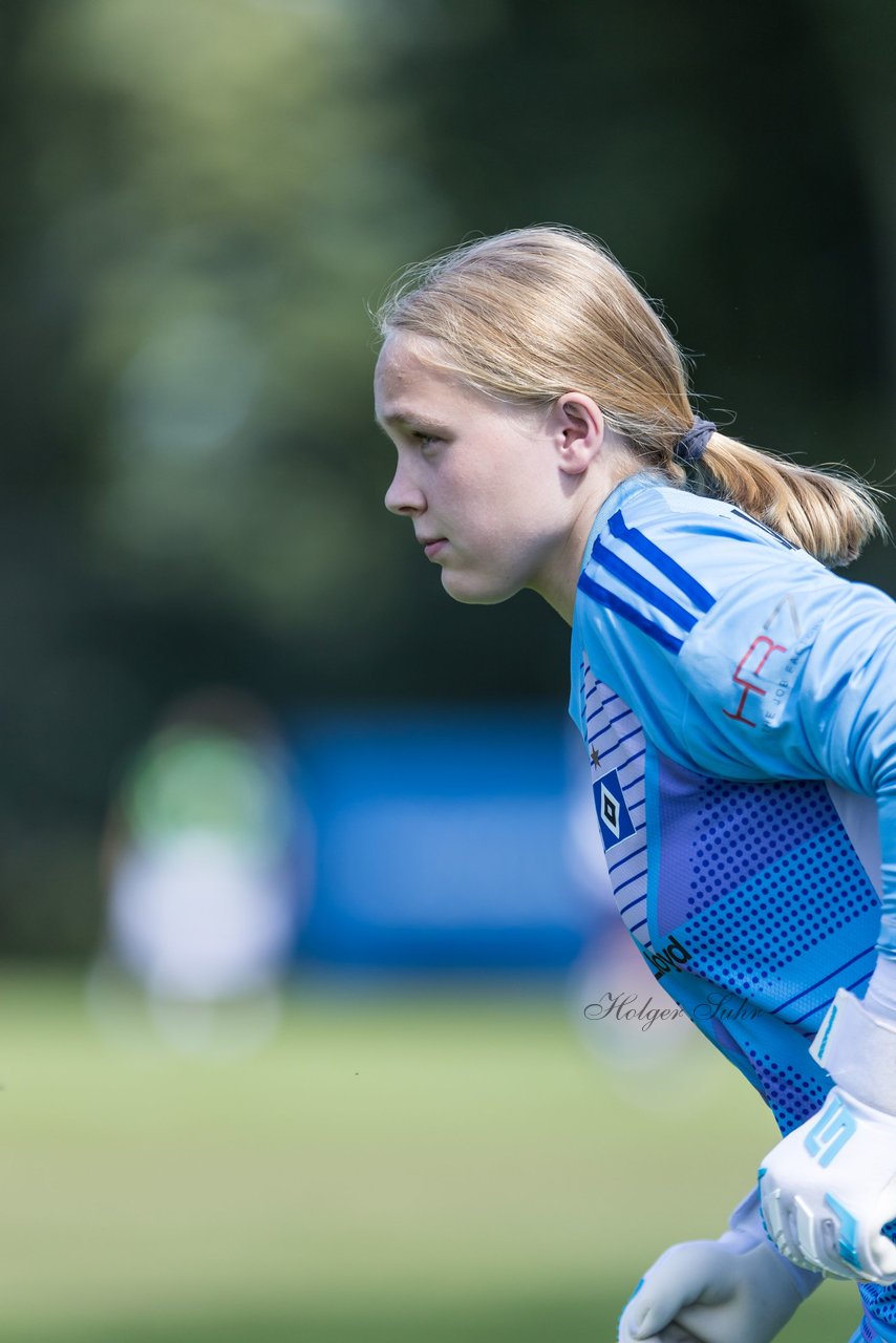 Bild 302 - wBJ Hamburger SV - VfL Wolfsburg : Ergebnis: 5:1